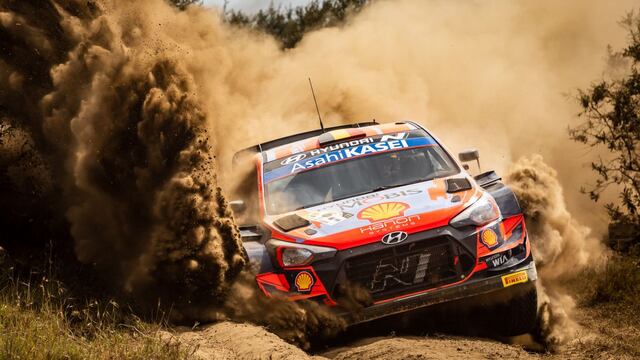 Neuville busca la victoria en el Safari de Kenia.