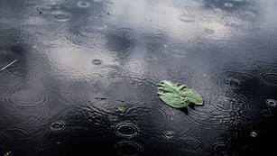 Las precipitaciones se forman en tres pasos: evaporación, concentración y condensación. Freepik.