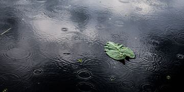 Las precipitaciones se forman en tres pasos: evaporación, concentración y condensación. Freepik.