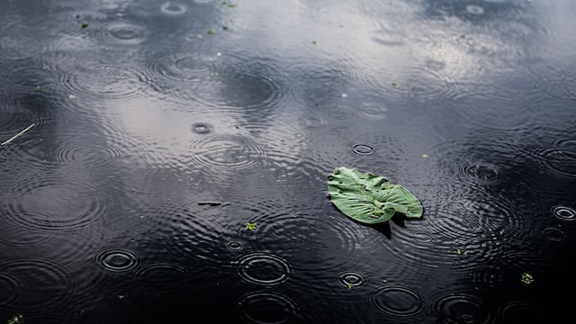 Las precipitaciones se forman en tres pasos: evaporación, concentración y condensación. Freepik.