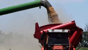 La agroexportadora Vicentin aún tiene en actividad varias plantas agroindustriales en el sur y centro-norte de la provincia de Santa Fe.