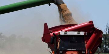 La agroexportadora Vicentin aún tiene en actividad varias plantas agroindustriales en el sur y centro-norte de la provincia de Santa Fe.