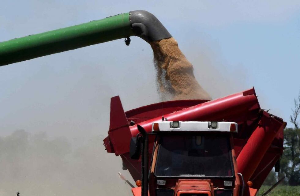 El Banco Nación avanzará en la defensa de los derechos del Estado Nacional en el caso Vicentín