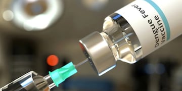 Qué vacunas contra el dengue están avaladas en Argentina y cuáles se mantienen en estudio por la ANMAT | Imagen ilustrativa.