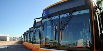 Coniferal tomará algunas de las líneas que dejó la empresa Ersa en Córdoba.