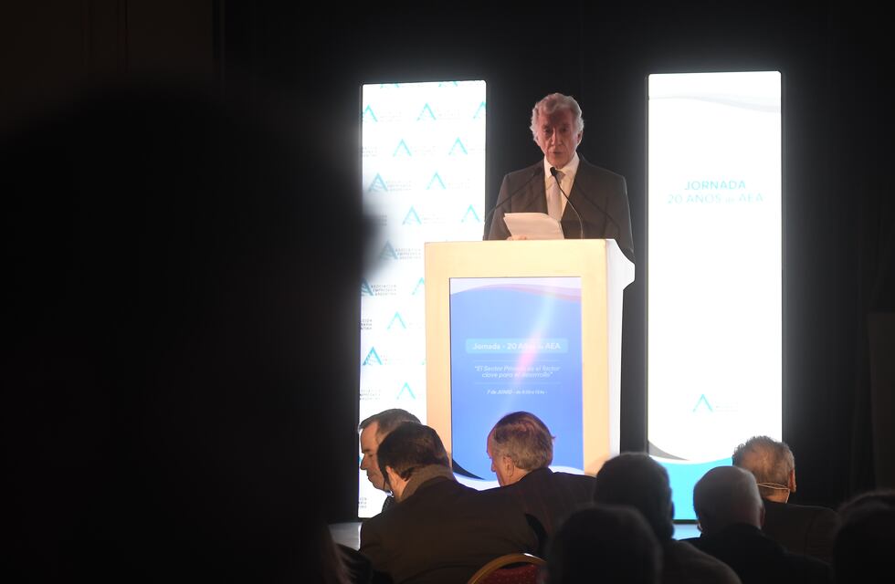 La Asociación Empresaria Argentina rechazó el impuesto a la renta inesperada: “Es un retroceso”