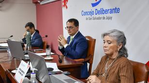 Lisandro Aguiar, presidente del legislativo municipal, condujo la sesión extraordinaria de este jueves.