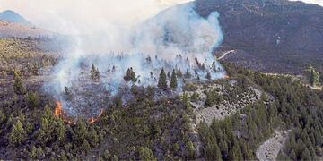Hay tres focos de incendio en Río Negro (Marcelo Martínez / LA NACION).