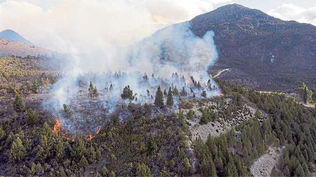Hay tres focos de incendio en Río Negro (Marcelo Martínez / LA NACION).