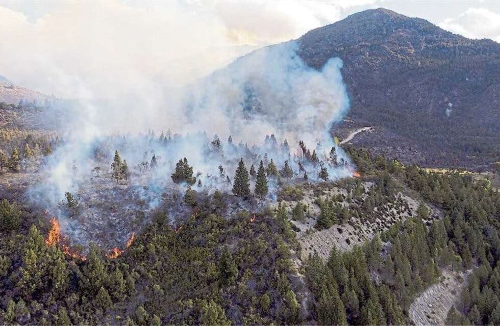 “Vamos a pedir la pena máxima”, dijo la Gobernadora de Río Negro por el incendio que consumió más de 10.000 hectáreas