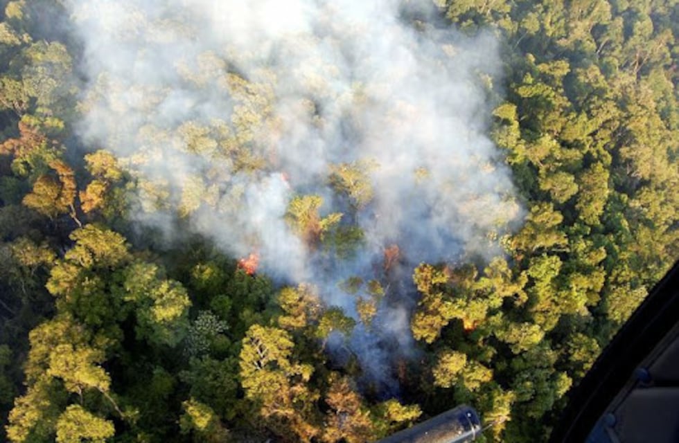 Ecología recuerda que se encuentra prohibido cualquier tipo de quema en todo el territorio provincial