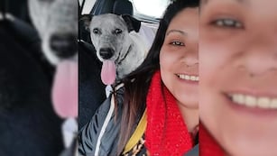 Natalia, la sanjuanina que junto a su pareja arman casitas y asisten a perritos que viven en la calle