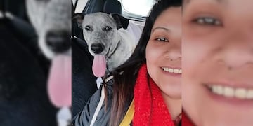 Natalia, la sanjuanina que junto a su pareja arman casitas y asisten a perritos que viven en la calle