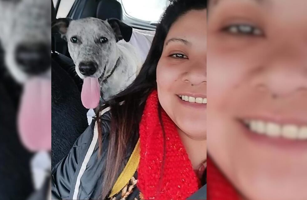 Natalia, la sanjuanina que junto a su pareja arman casitas y asisten a perritos que viven en la calle