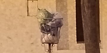 Basura en los canastos por falta de recolección de residuos en Rafaela