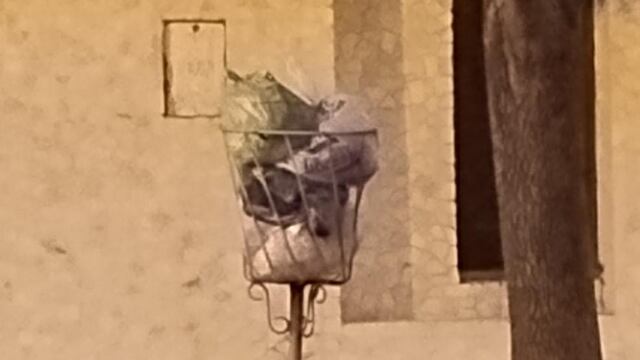 Basura en los canastos por falta de recolección de residuos en Rafaela