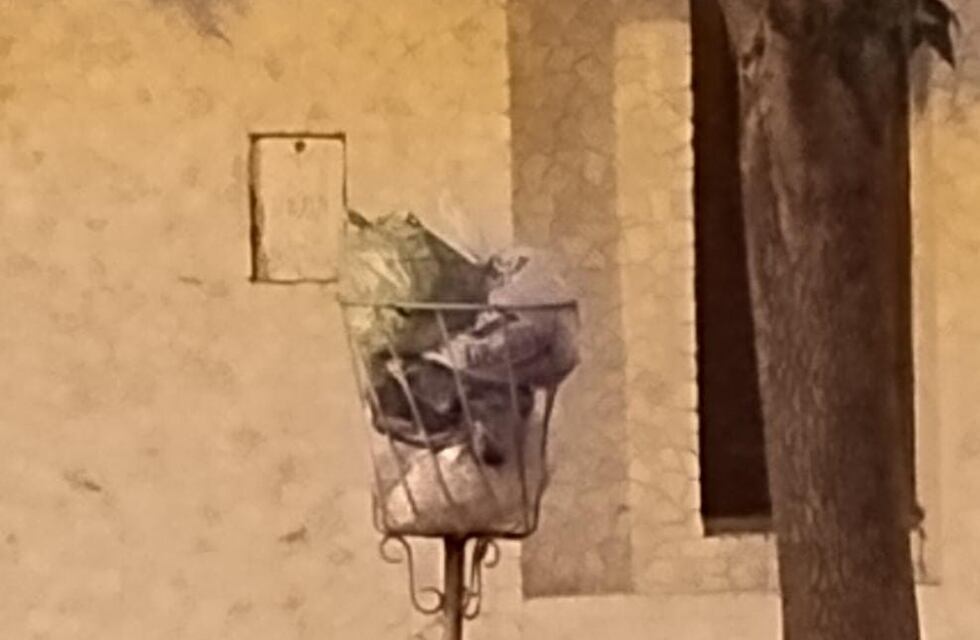 Concejales solicitan modificar los días de recolección de residuos en Año Nuevo