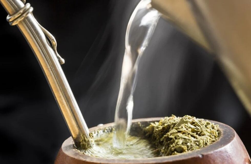Científicos de Estados Unidos descubrieron un nuevo efecto de tomar mate
