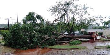 Fuerte temporal causó destrozos en Eldorado.