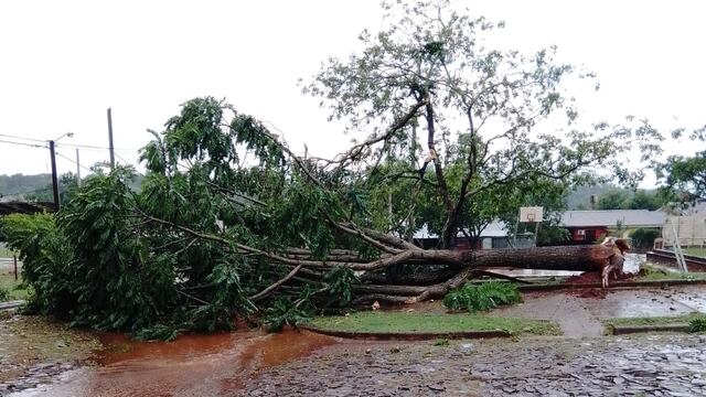 Fuerte temporal causó destrozos en Eldorado.