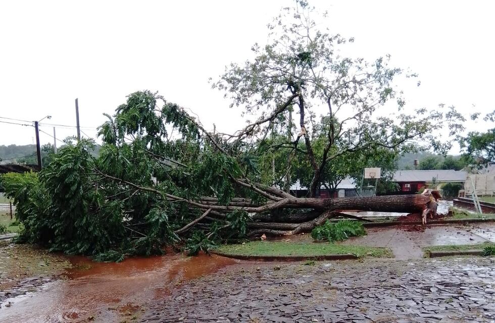 Fuerte temporal causó destrozos en Eldorado