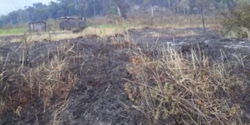 Los incendios forestales arribaron hasta Montecarlo y los vecinos debieron ayudar a los Bomberos.