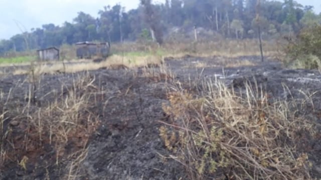 Los incendios forestales arribaron hasta Montecarlo y los vecinos debieron ayudar a los Bomberos.