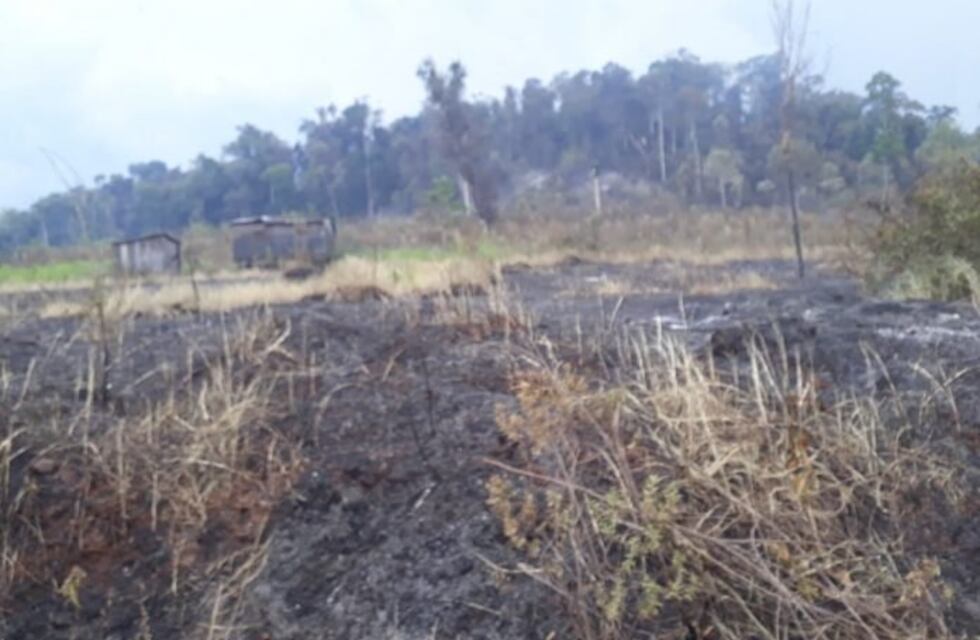 Los incendios forestales arribaron hasta Montecarlo y los vecinos debieron ayudar a los Bomberos