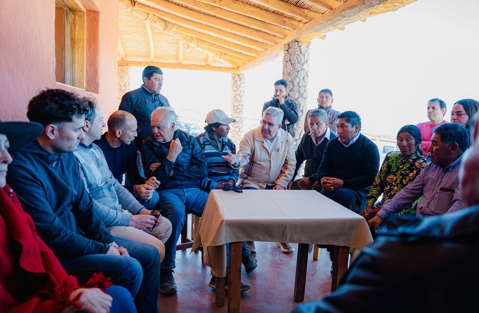 Catamarca teje un futuro prometedor con la fibra de vicuña