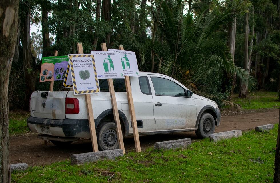 Continuán las tareas de reacondicionamiento y mejoras en el Parque Cabañas de Tres Arroyos