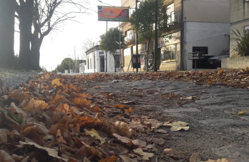 Pronóstico en Tandil: así estará el tiempo este viernes en la ciudad