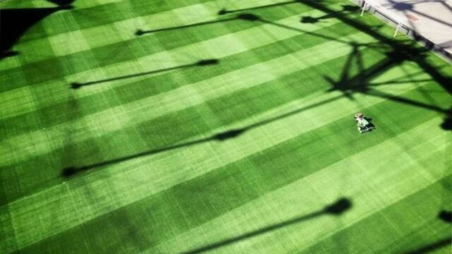 El césped de La Plata, una preocupación para los cuerpos técnicos.