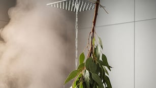 Ni por moda ni decoración: para qué sirve colocar un ramo de eucalipto en la ducha