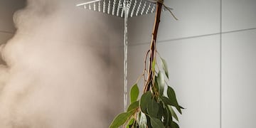 Ni por moda ni decoración: para qué sirve colocar un ramo de eucalipto en la ducha