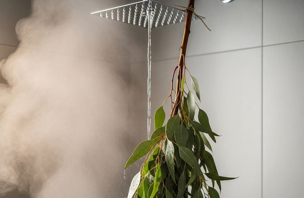 Ni por moda ni decoración: para qué sirve colocar un ramo de eucalipto en la ducha