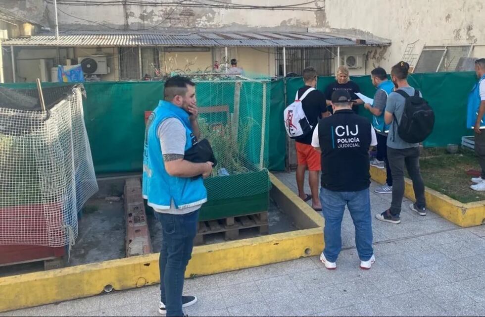 En el barrio de Montserrat fue desbaratado un criadero ilegal de perros