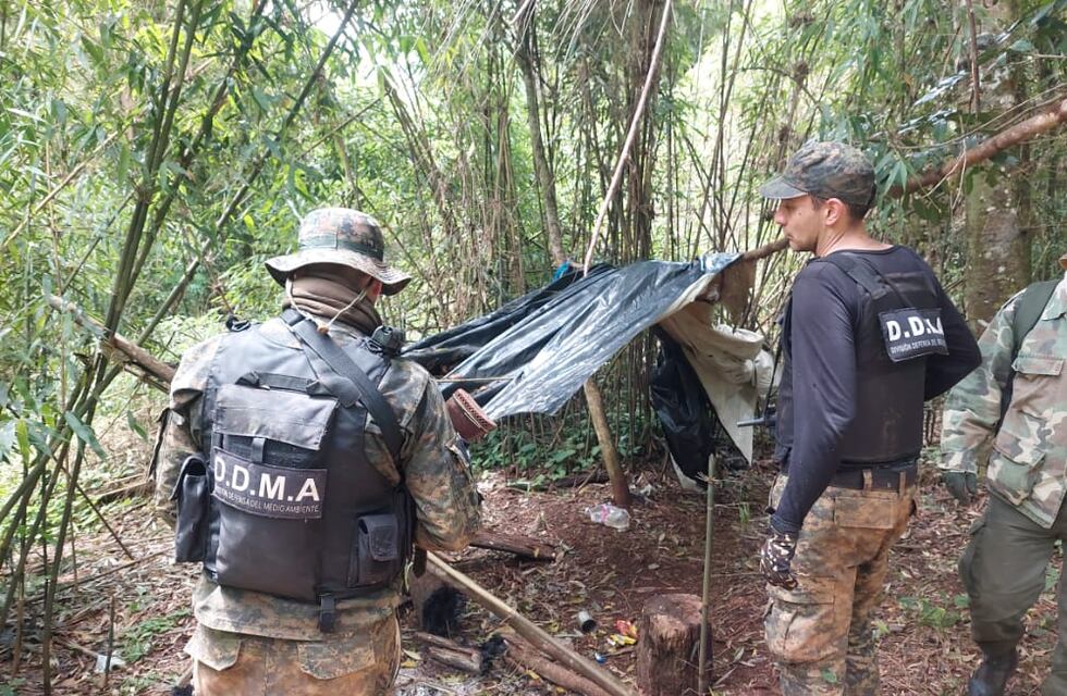 Desmantelan campamento de cazadores furtivos en San Pedro