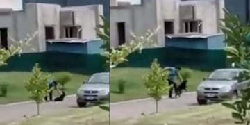 Algunos usuarios indicaron que el agresor realizó un descargo en un grupo de Whatsapp del Pinar donde admite que golpeó a su mascota.