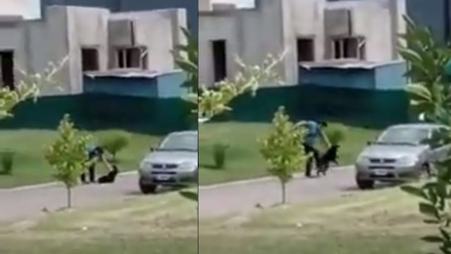 Algunos usuarios indicaron que el agresor realizó un descargo en un grupo de Whatsapp del Pinar donde admite que golpeó a su mascota.