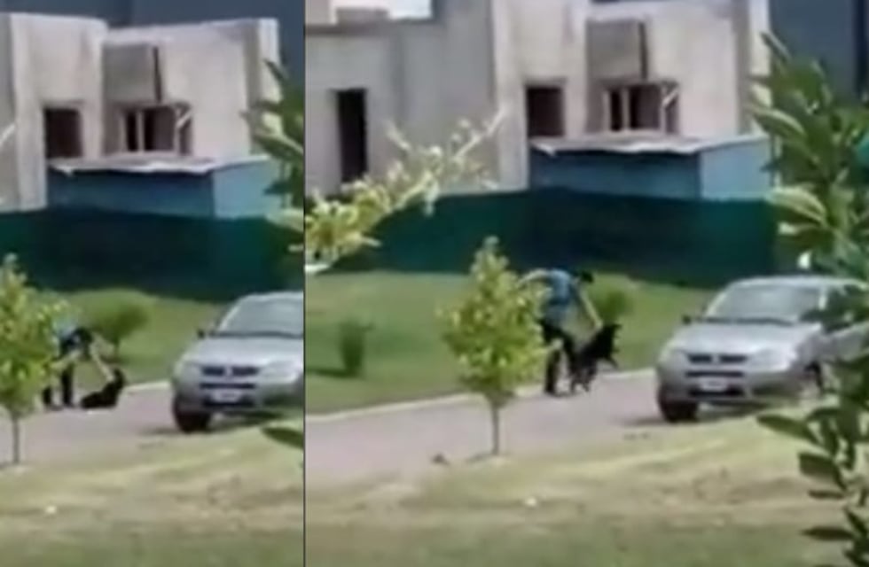 Indignante: un vecino de Tafí Viejo fue filmado mientras maltrata a su perro