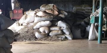 Tras inspecciones del INYM, se clausuraron dos establecimientos en Misiones.