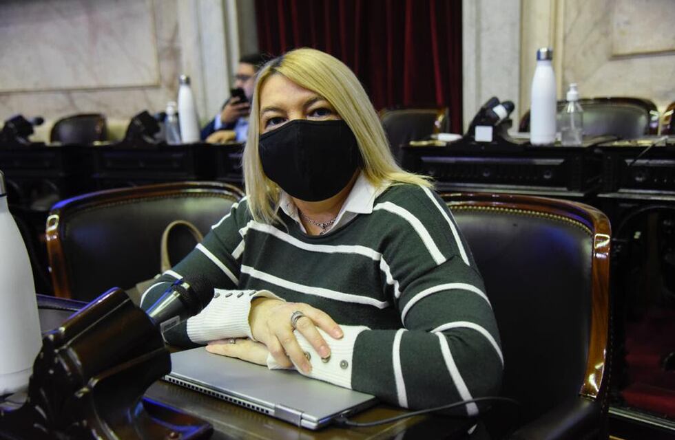 Bertone planteó prorrogar la Ley 19640