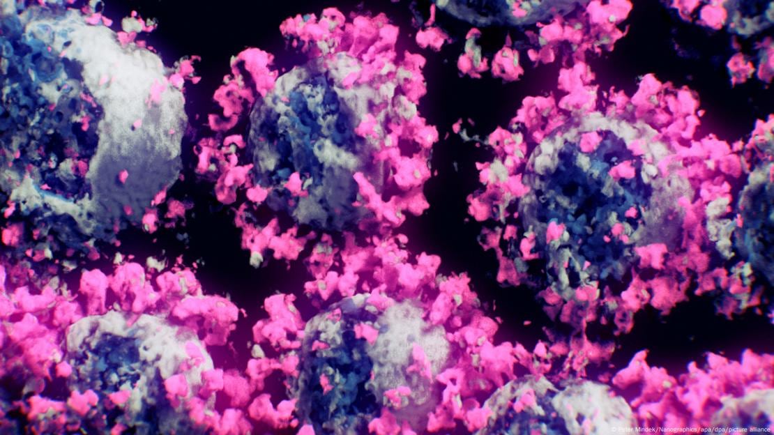 Imagen real en 3D del coronavirus, con las espículas. (Imagen: Peter Mindek/Nanographics/apa/dpa)
