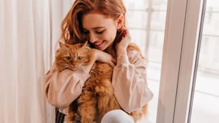 Horóscopo: estos 3 signos del zodiaco tienen una conexión especial con los gatos.
