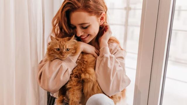 Horóscopo: estos 3 signos del zodiaco tienen una conexión especial con los gatos.