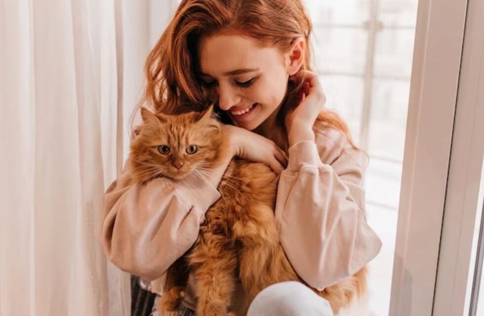 Horóscopo: estos 3 signos del zodiaco tienen una conexión especial con los gatos