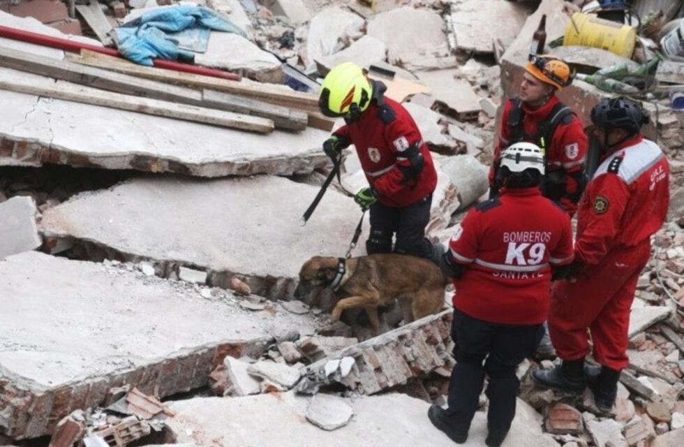 Yaka, la perra rescatista que encontró el cuerpo de Luis Ariel López en la casa derrumbada