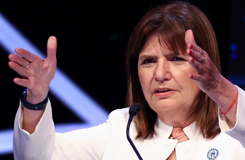 Bullrich aseguró que hay una plaga de guanacos en Chubut: “No vive nadie ahí”