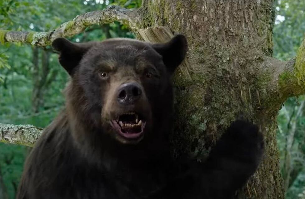 Esta película está basada en el caso real de un oso que consumió drogas y perdió el control