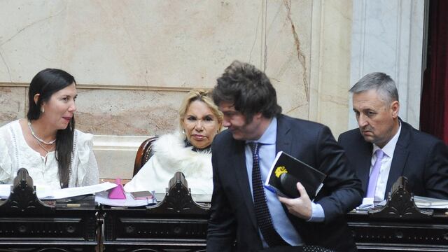 Javier Milei deberá conseguir los votos para aprobar el primer Presupuesto de su gestión. Foto: Federico López Claro